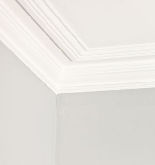 How to apply coving | Best adhesive for coving installation 